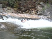 Wilsons Creek 58